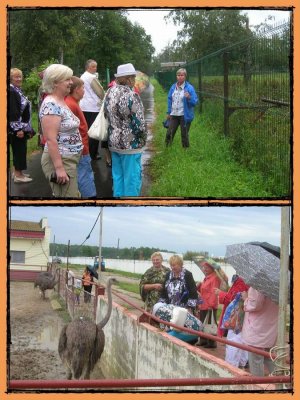 Экскурсия в Приокско-Террасный государственный заповедник.