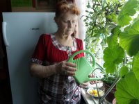 Ежедневная помощь пожилым людям Ступинского района