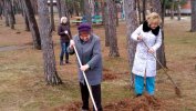 В СО СОР «Сосновый бор» стартовала весенняя уборка территории.