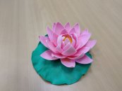 Мастер-класс «Изготовление цветка лотоса из фоамирана»