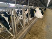 ��������� ������� ��������� � ���������� ������ �����������