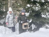 ���������� ���� �����