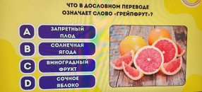 ���� ���� 