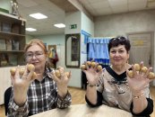 ����������� ����������