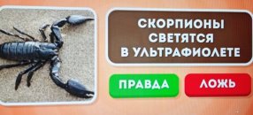 ����� ��� ������ 