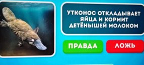 ����� ��� ������ 