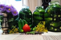 ���� �������